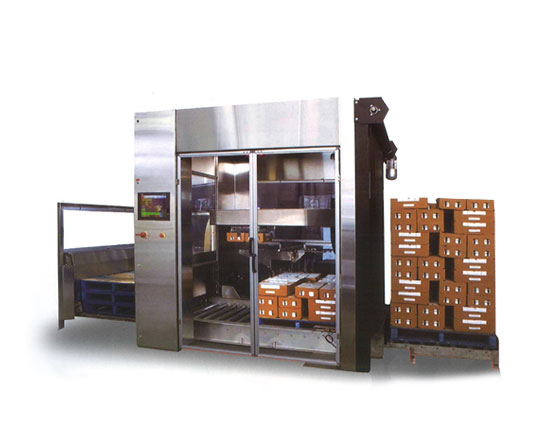 Tridentpack Compact Palletizer | Industrial Equipment Supplier