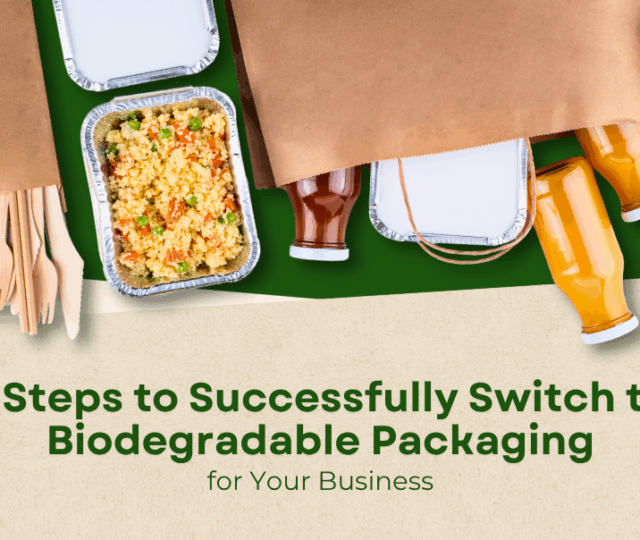 Biodegradable Packaging for Business