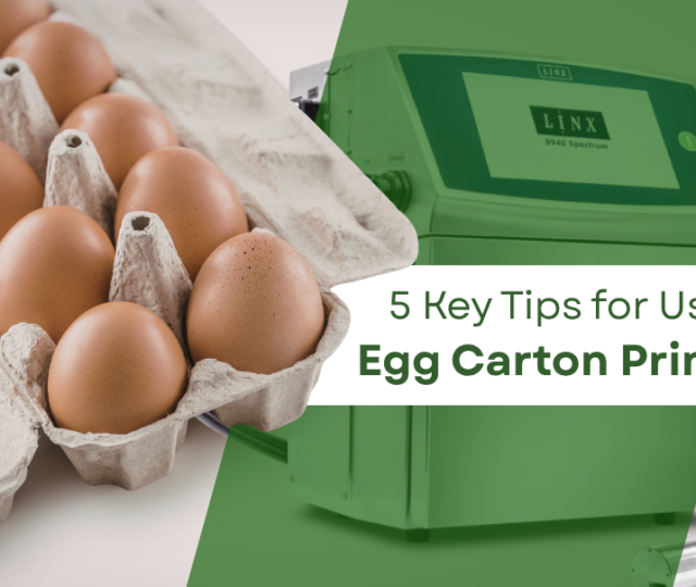 Tips for Using Egg Carton Printers